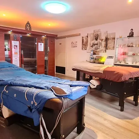 Jacuzzi Et Sauna Privatifs