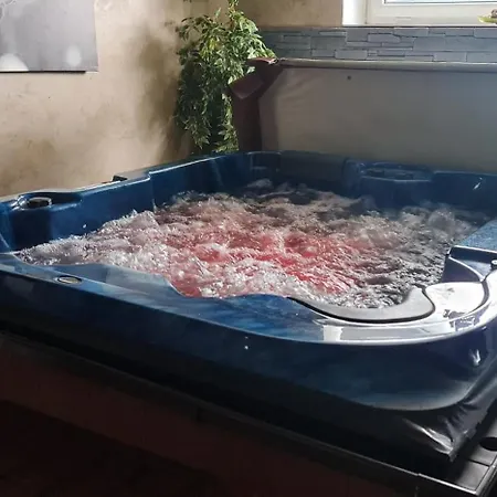Guest house Jacuzzi Et Sauna Privatifs
