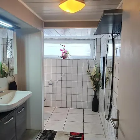 Jacuzzi Et Sauna Privatifs ゲストハウス